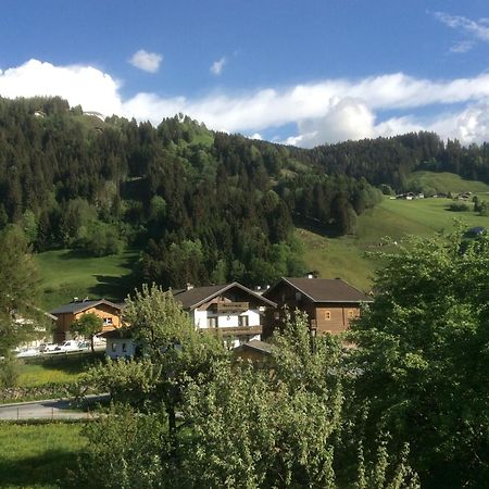 Apartmán Kitzbuheler Alpen Penthouse Hollersbach Hollersbach im Pinzgau Exteriér fotografie