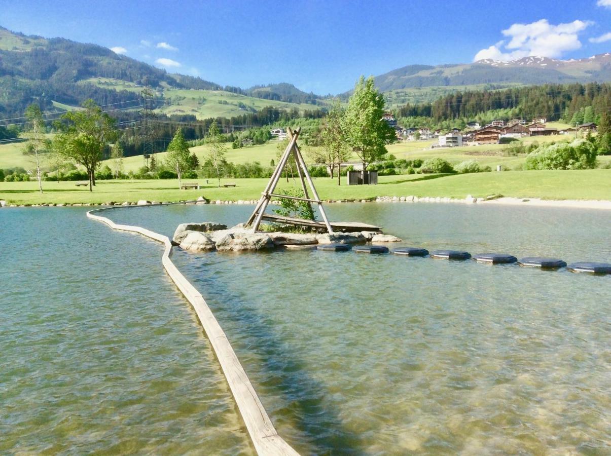 Apartmán Kitzbuheler Alpen Penthouse Hollersbach Hollersbach im Pinzgau Exteriér fotografie